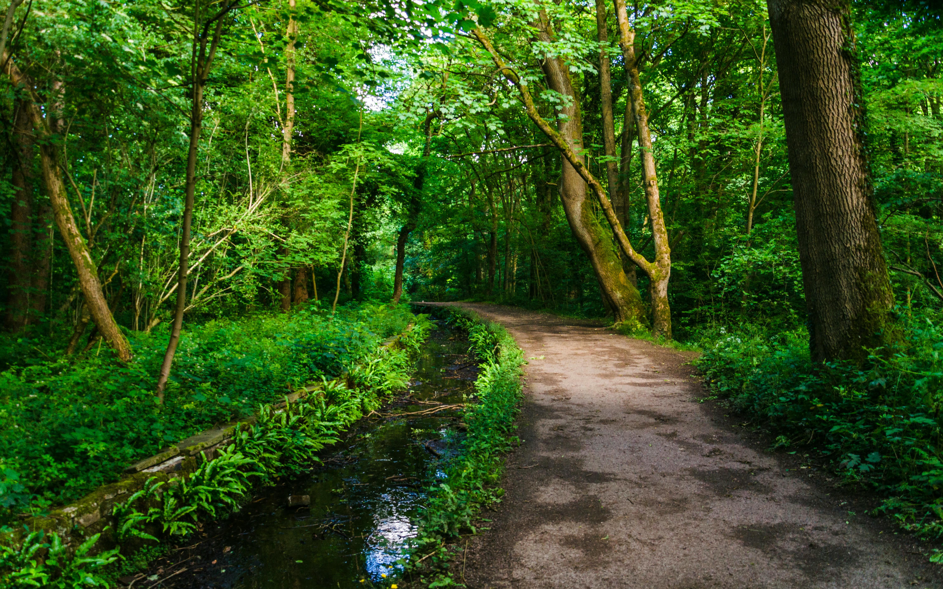 Shane Rounce Uoitnlrscy0 Unsplash