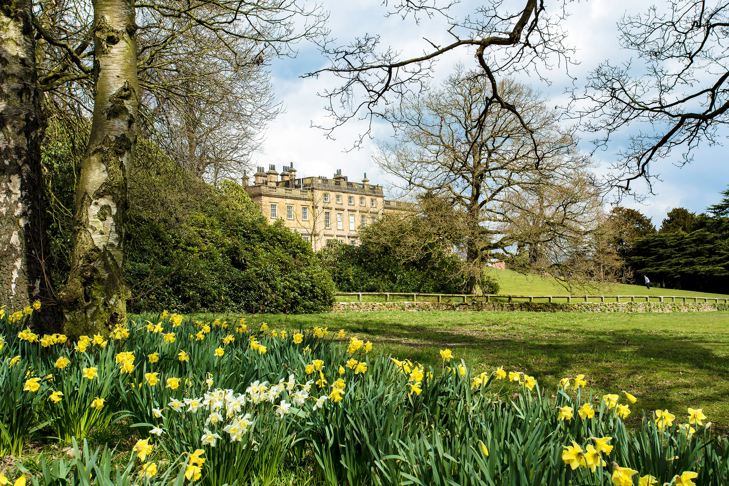 Houses for sale Goldthorpe