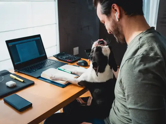 What do you need to get a mortgage